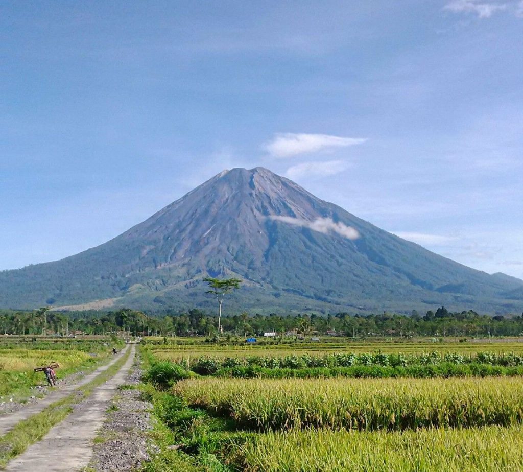 Gunung Semeru meluncurkan awan panas guguran pada 19 November 2025