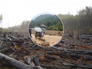 Bencana Ekologis menyebabkan banjir dan longsor di Sumatera