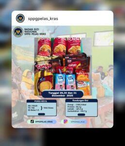 makanan MBG yang hanya berupa makanan kemasan